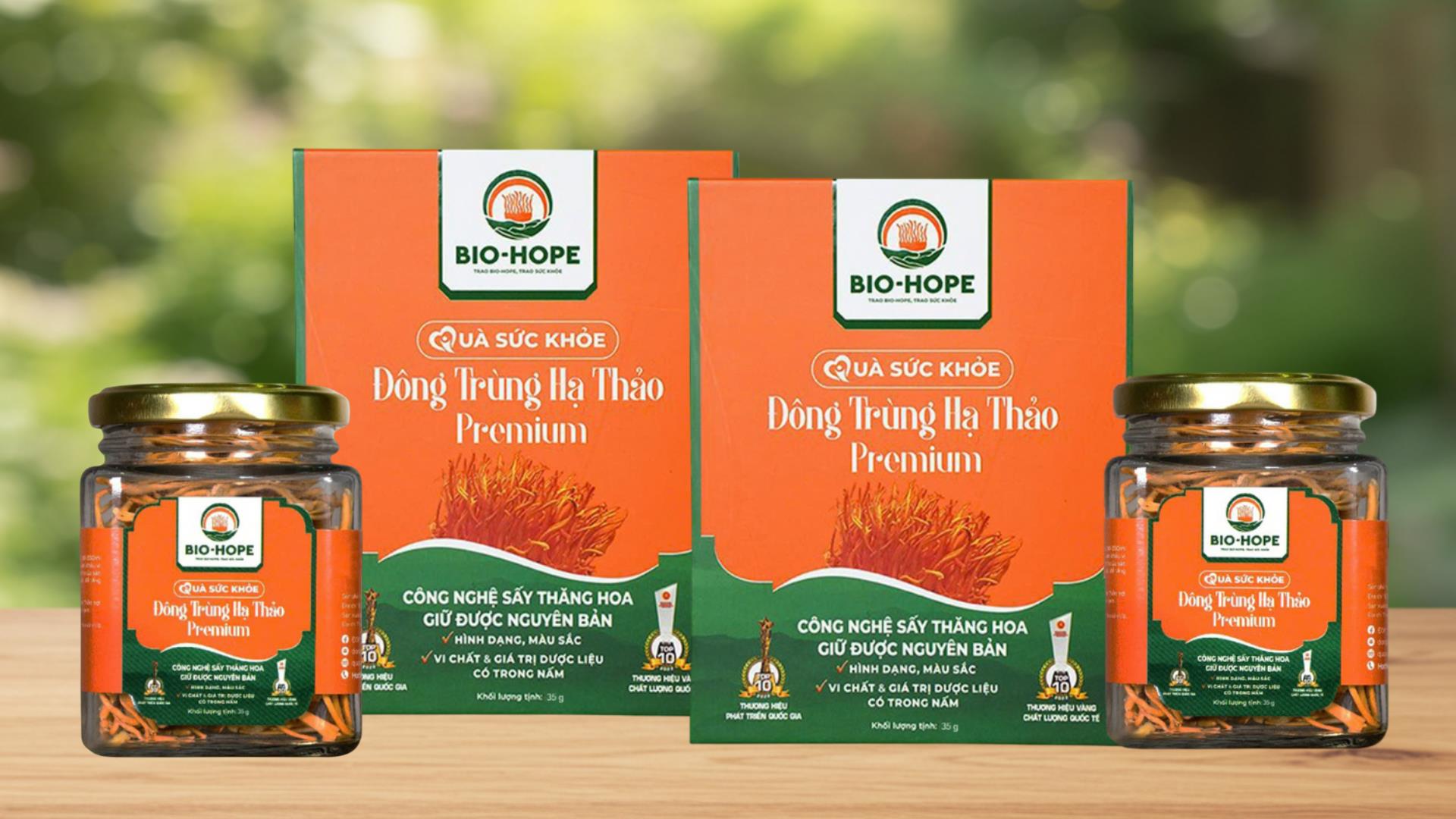 mua-dong-trung-ha-thao-o-dau.jpg