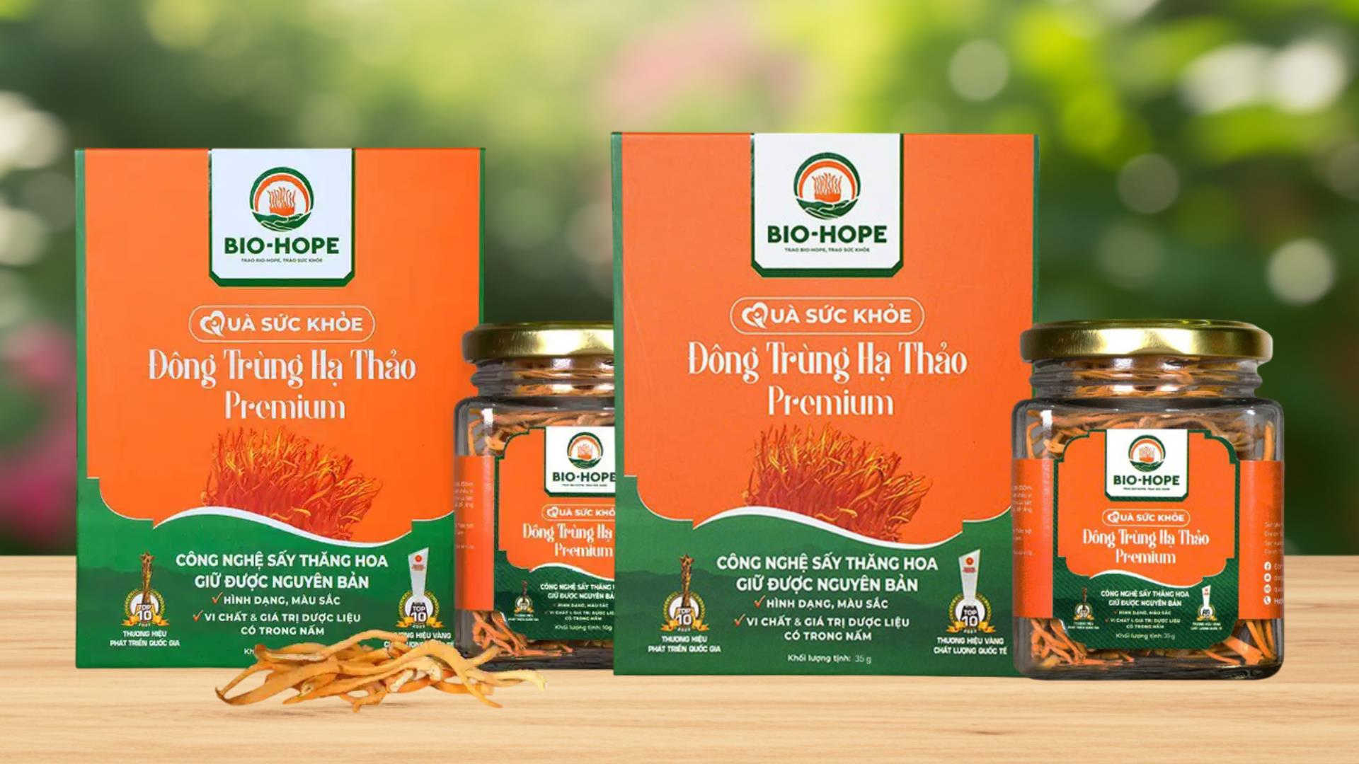 goc-nhin-dong-trung-ha-thao-tu-y-hoc.jpg